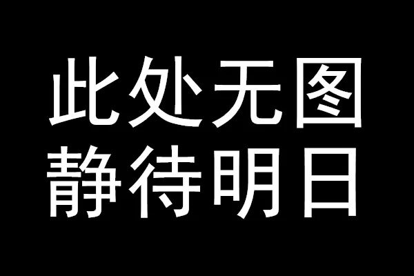 SA真人平台国际空运提供的服务让我们十分惊喜！